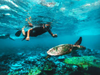 Snorkeler dans la méditerranée